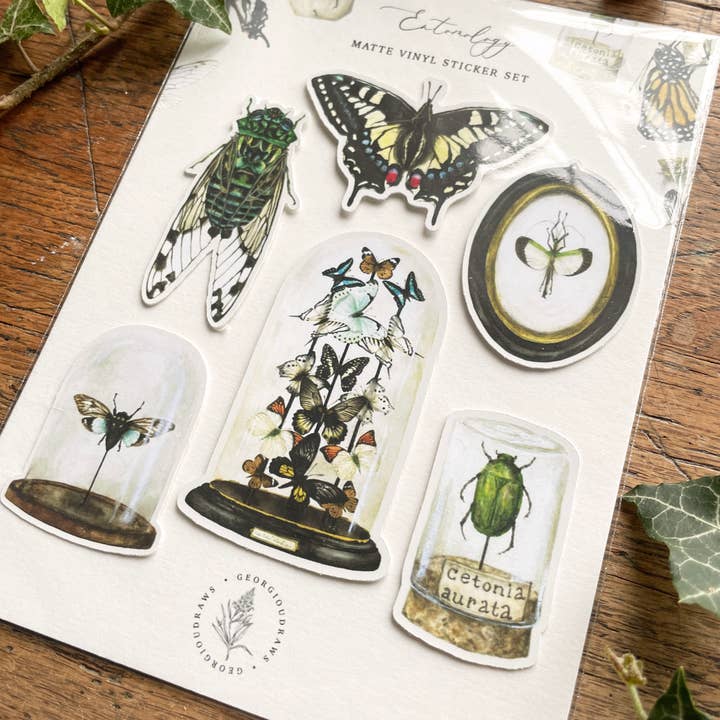 Georgiou Draws - Wholesale Sticker - Entomology Matt Vinyl Sticker Set | Curious Oddities Art