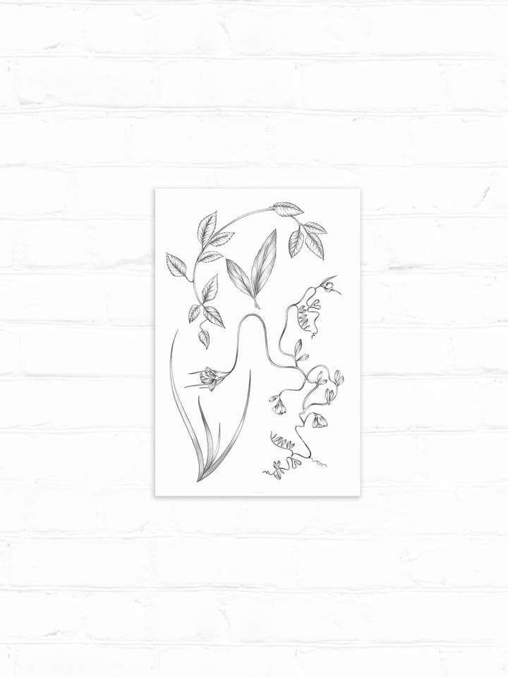 Impression artistique sur les natifs de Tomales pour la vente par LINNA