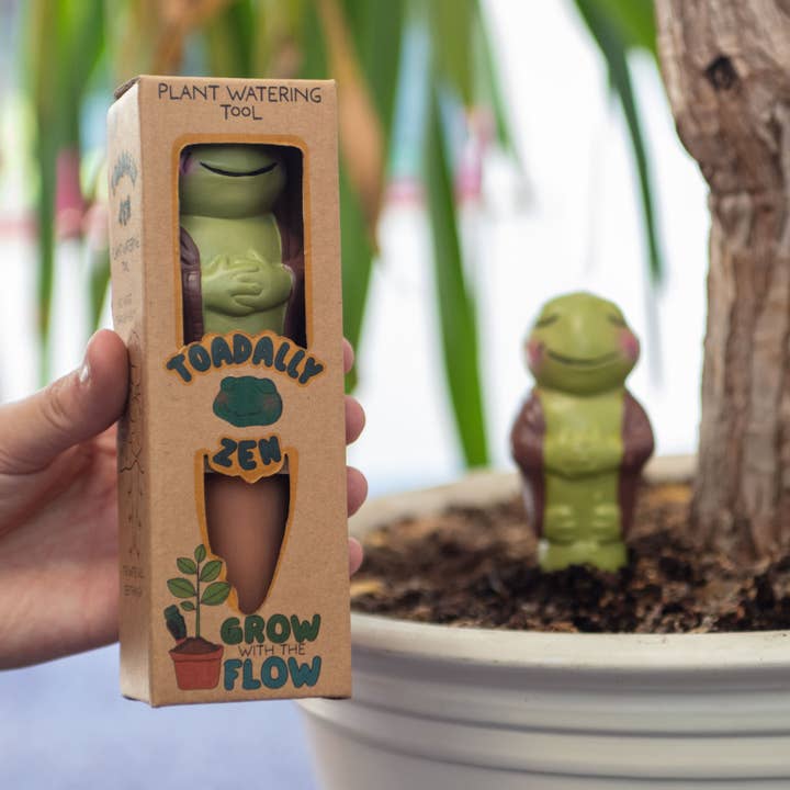 Boxer Gifts - Wholesale Garden Tool - Grow with the Flow Toad - House Plant Watering Spikes Tool4