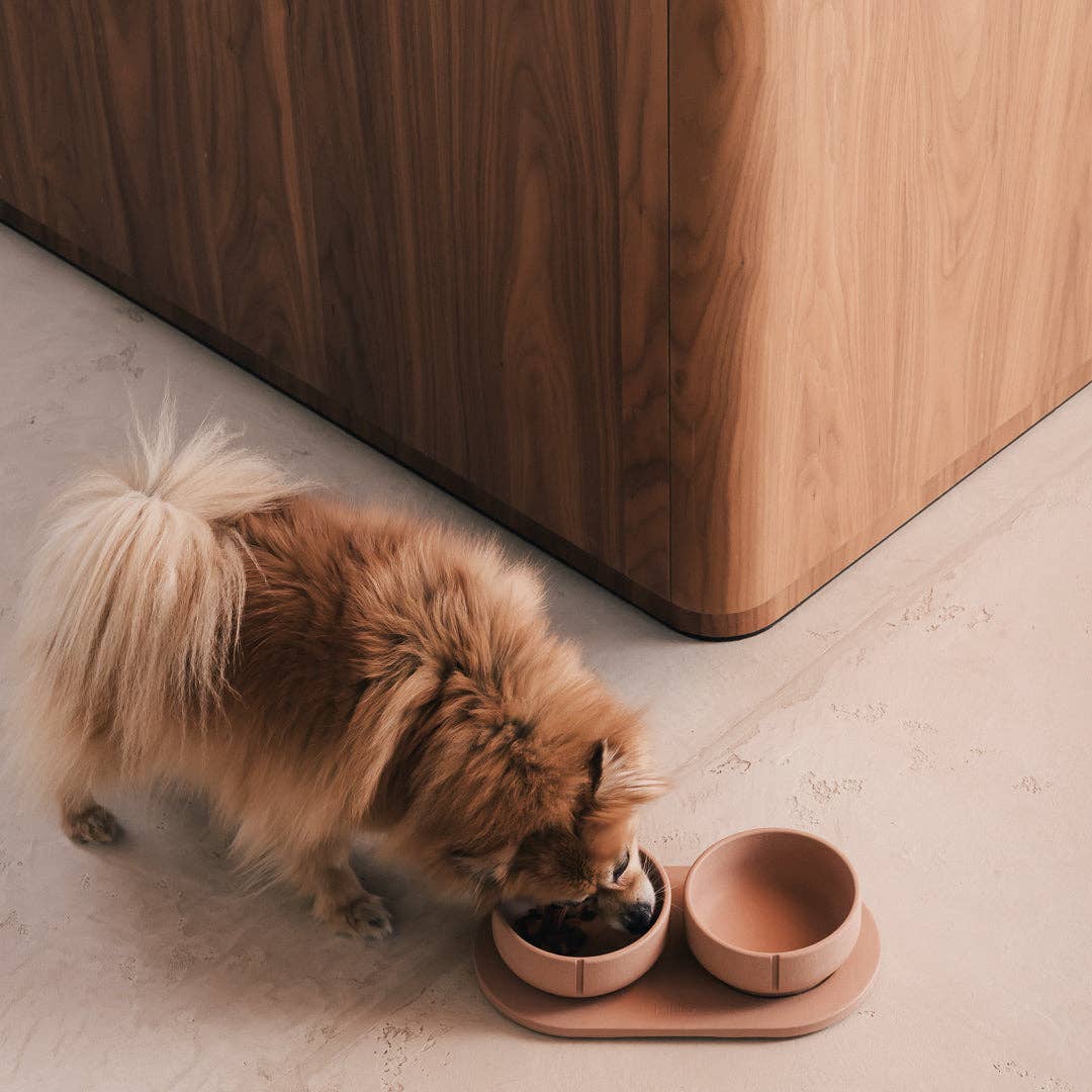 PINO – Engroshandel Kæledyrsskål – Hund – Klassisk skål53