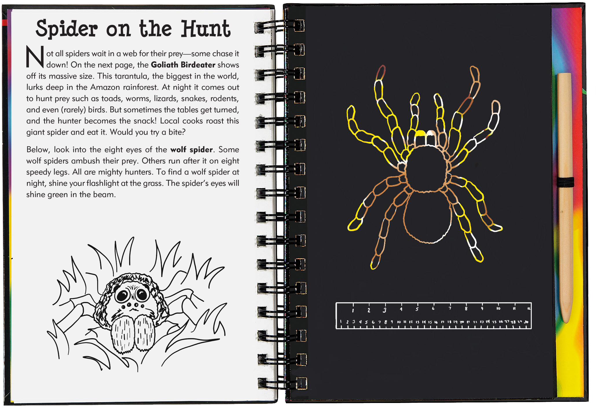 Peter Pauper Press - Vente Carnets de croquis - Bugs ! Gratte et Dessine5