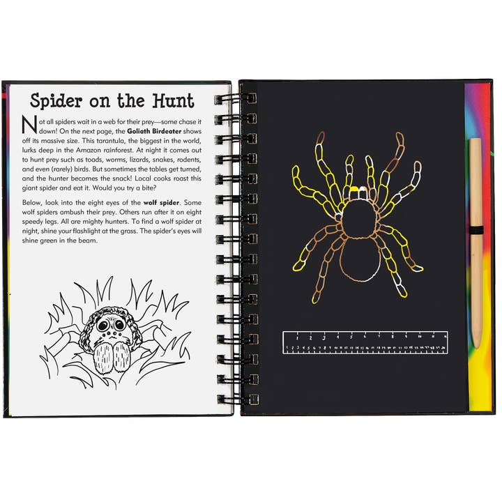 Peter Pauper Press - Wholesale Sketchbook/Sketchpad - Bugs! Scratch and Sketch5