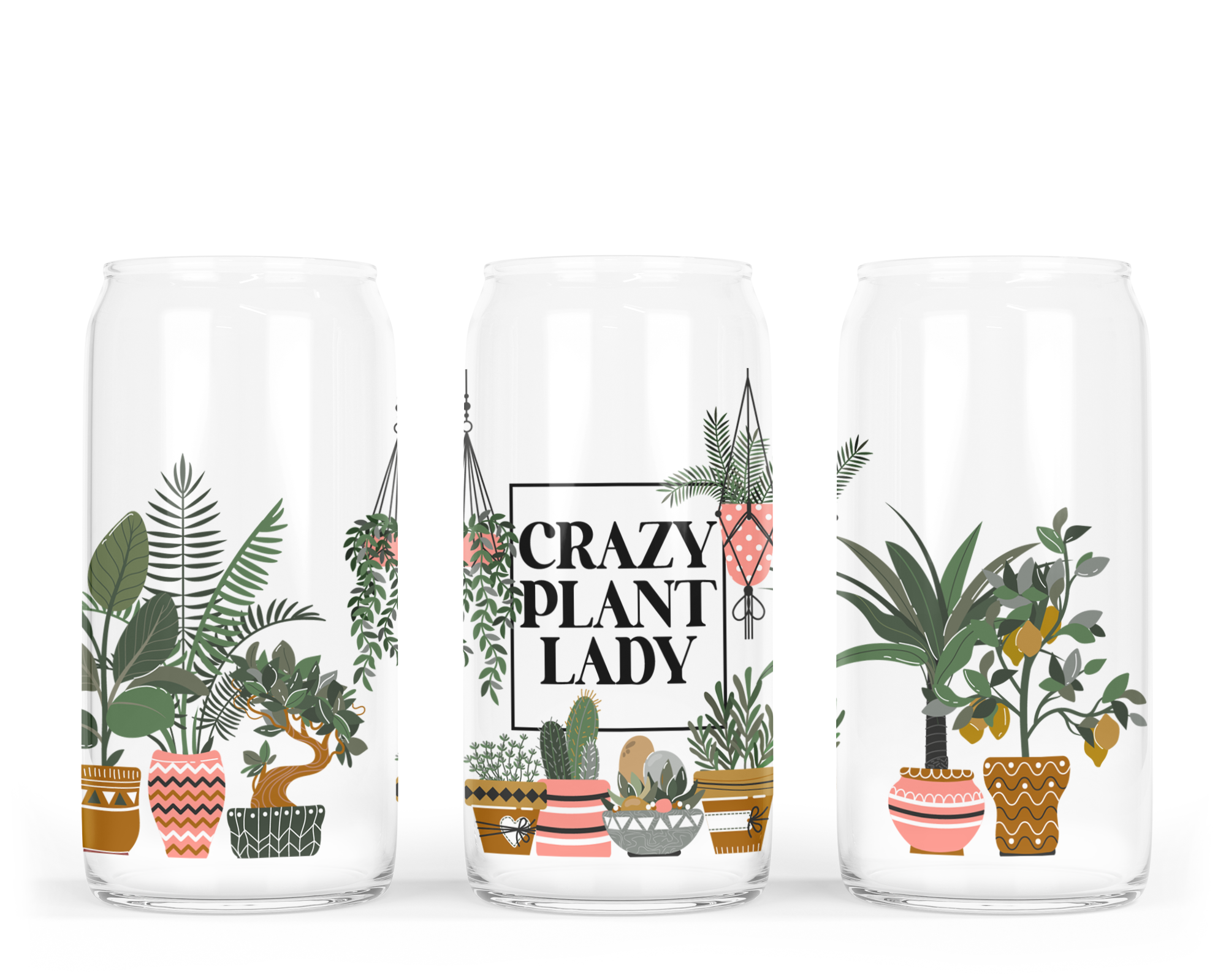 DIYxe - Wholesale Drinking Glass/Cup - Crazy Plant Lady Glass Can w Bamboo Lid | Sarcasm Glass Can1