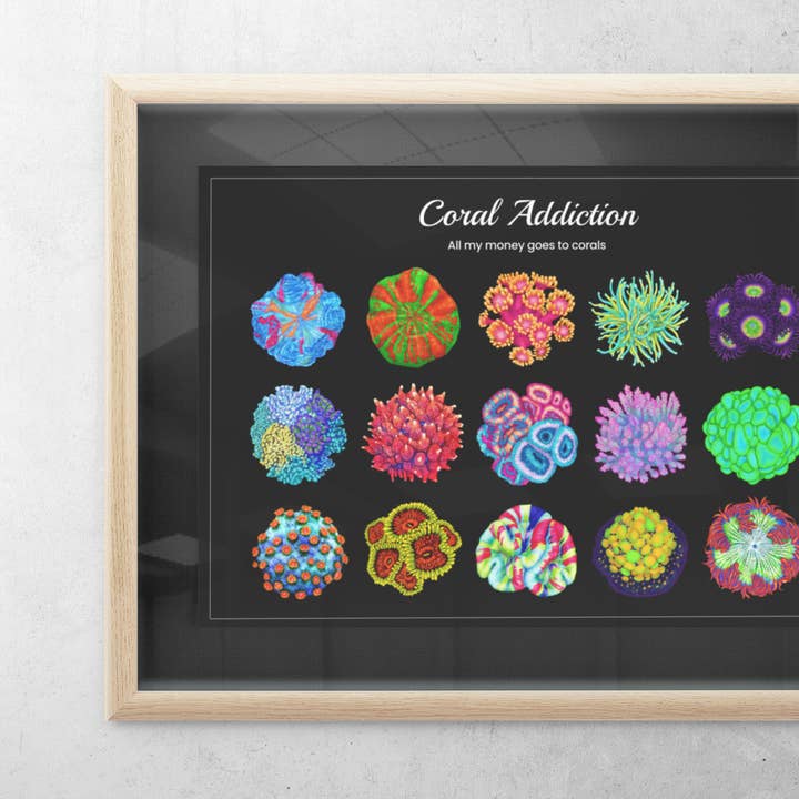 15 Assortment of Corals in a Poster | Coral Reef Aquarium for wholesale by Reef of Clowns