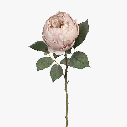 JKF & Co Pty Ltd – wholesale Konstgjorda blommor – English Rose Single Stem Rosa0
