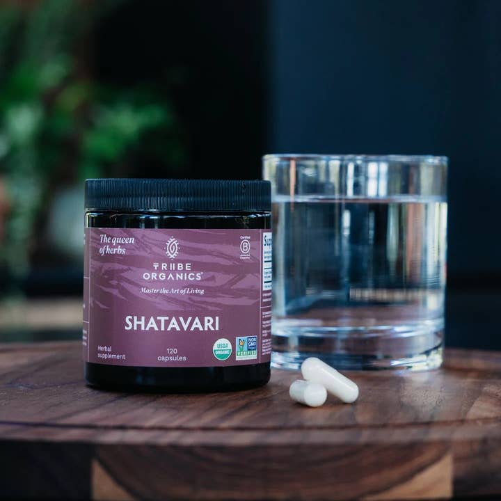 Organic Shatavari for wholesale by Tribe Organics