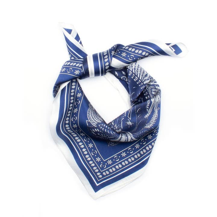 Lillebonne Écharpe en Soie Bleue pour la vente par 7East