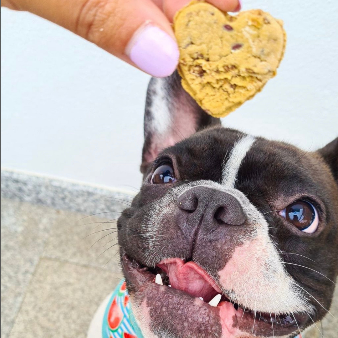 Cooka's Cookies - Wholesale Pet Treats - Dog - Chicken Love - Natural Dog Treats7