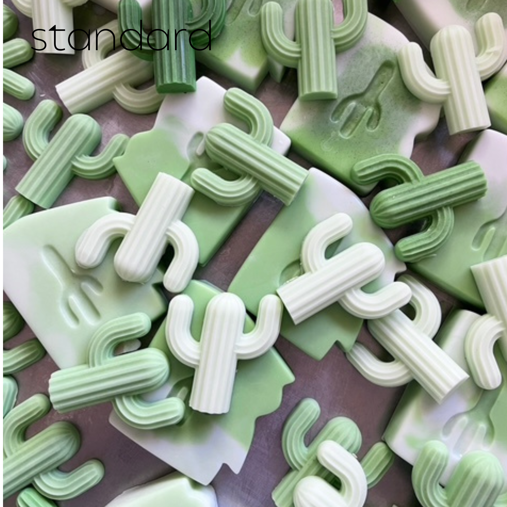 Naked Fig – sabonete sólido por atacado – Mini Sabonete para Cactus - Individual (individual)17