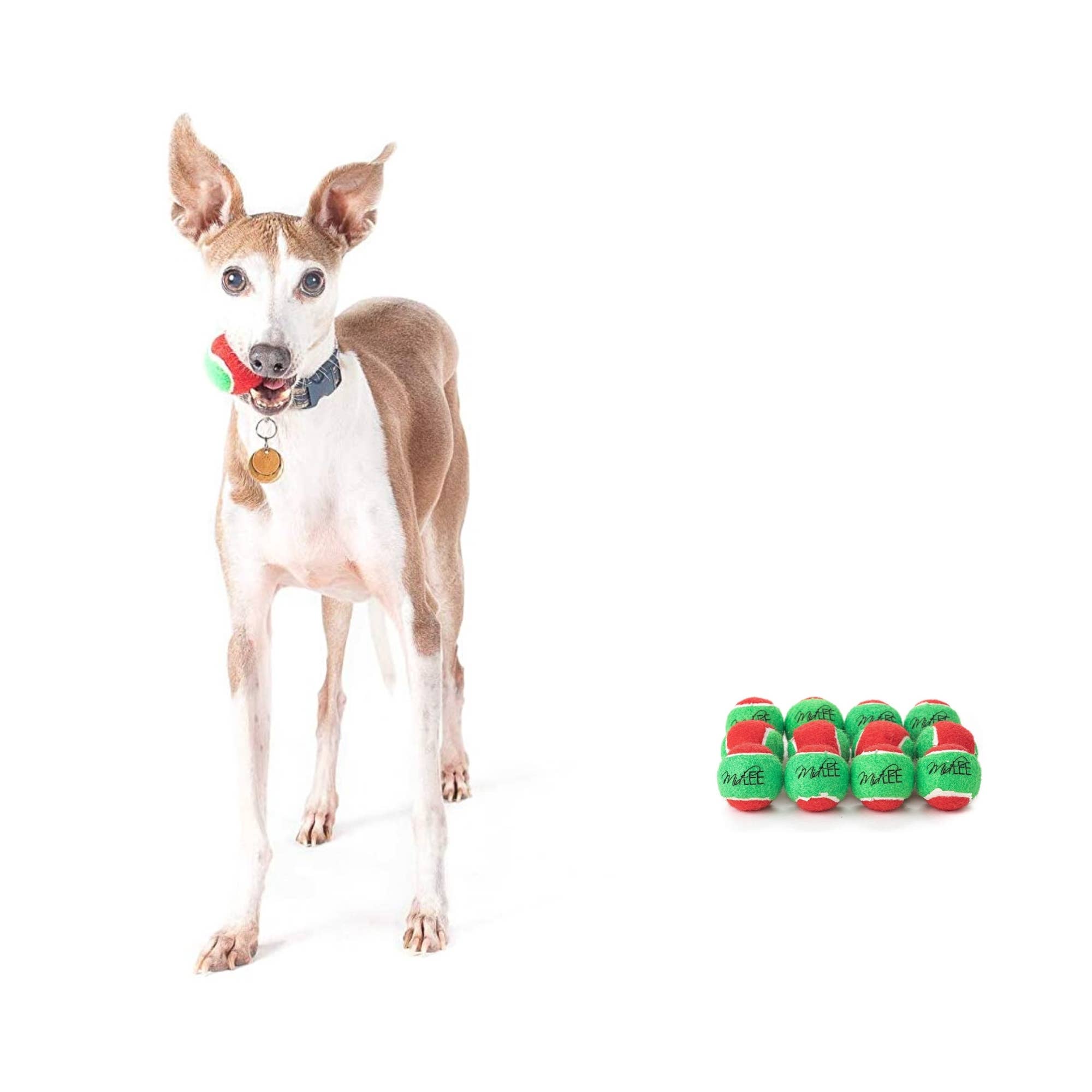 Midlee Designs - Wholesale Pet Squeaky Toy - Dog - Midlee 1.5" Mini Squeaker Christmas Dog Tennis Balls1