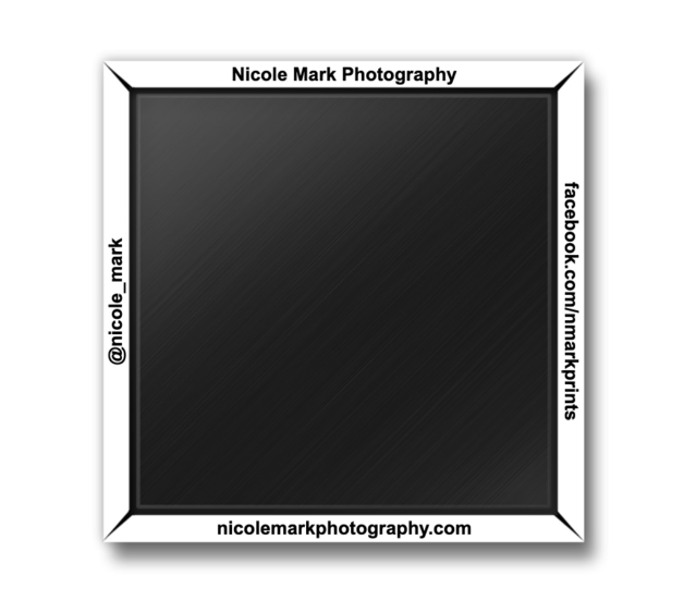 Nicole Mark Photography - Wholesale Magnet - MAGNET - Oregon Forest2