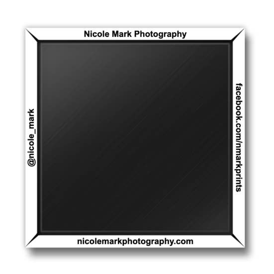 Nicole Mark Photography - Wholesale Magnet - MAGNET - Oregon Forest2