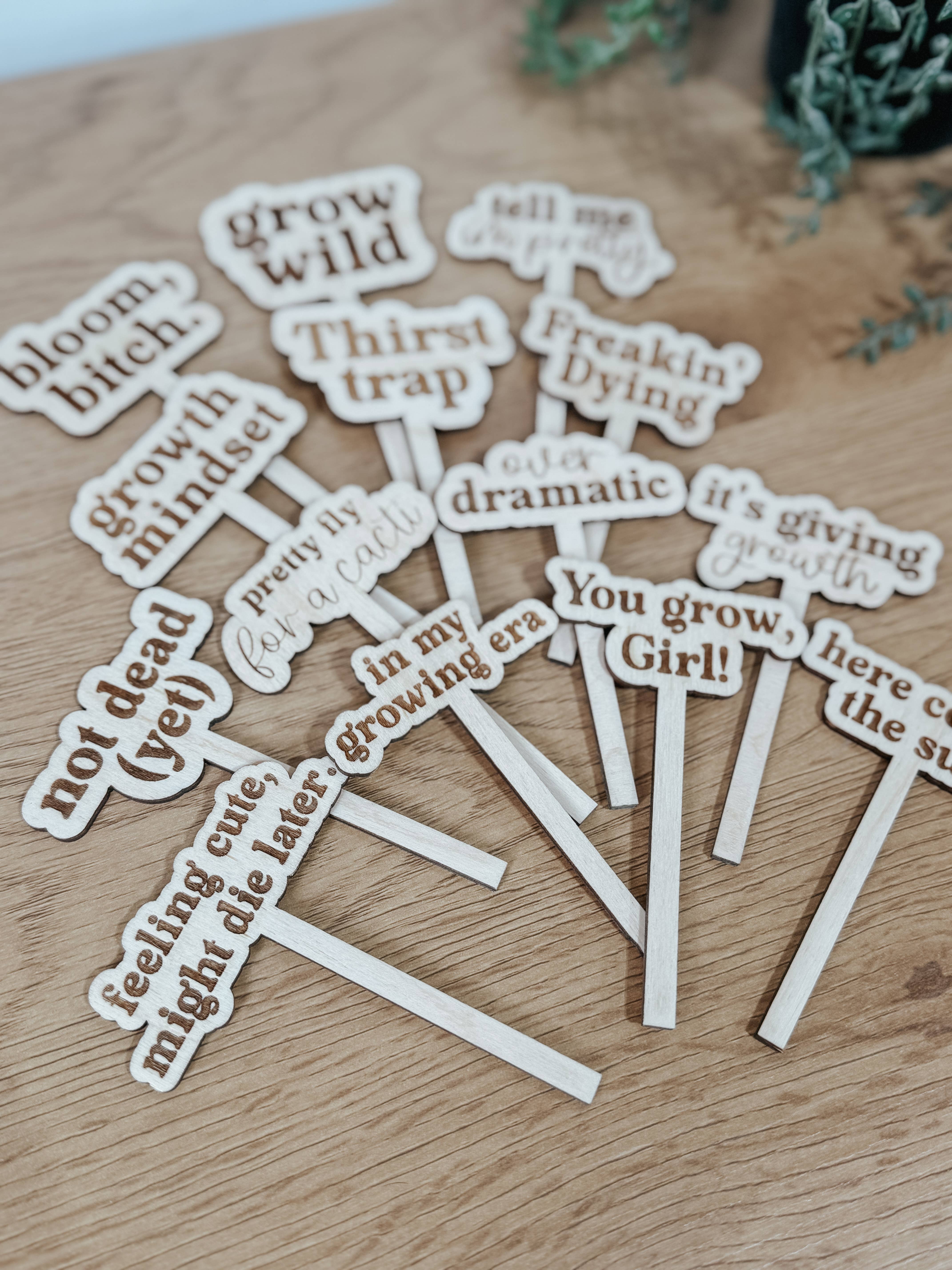 Arrow Town Designs - Wholesale Garden/Lawn Stake - Funny Engraved Plant Stakes – Set of Humorous Garden Markers3