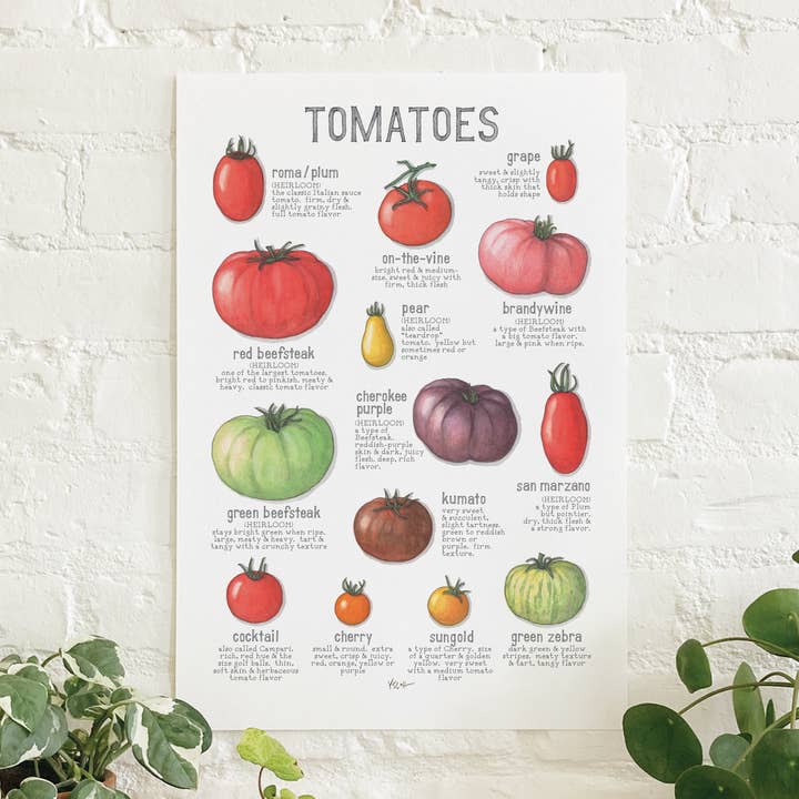 Yeesan Loh - Wholesale Poster - Poster / Vegetables . Tomatoes0