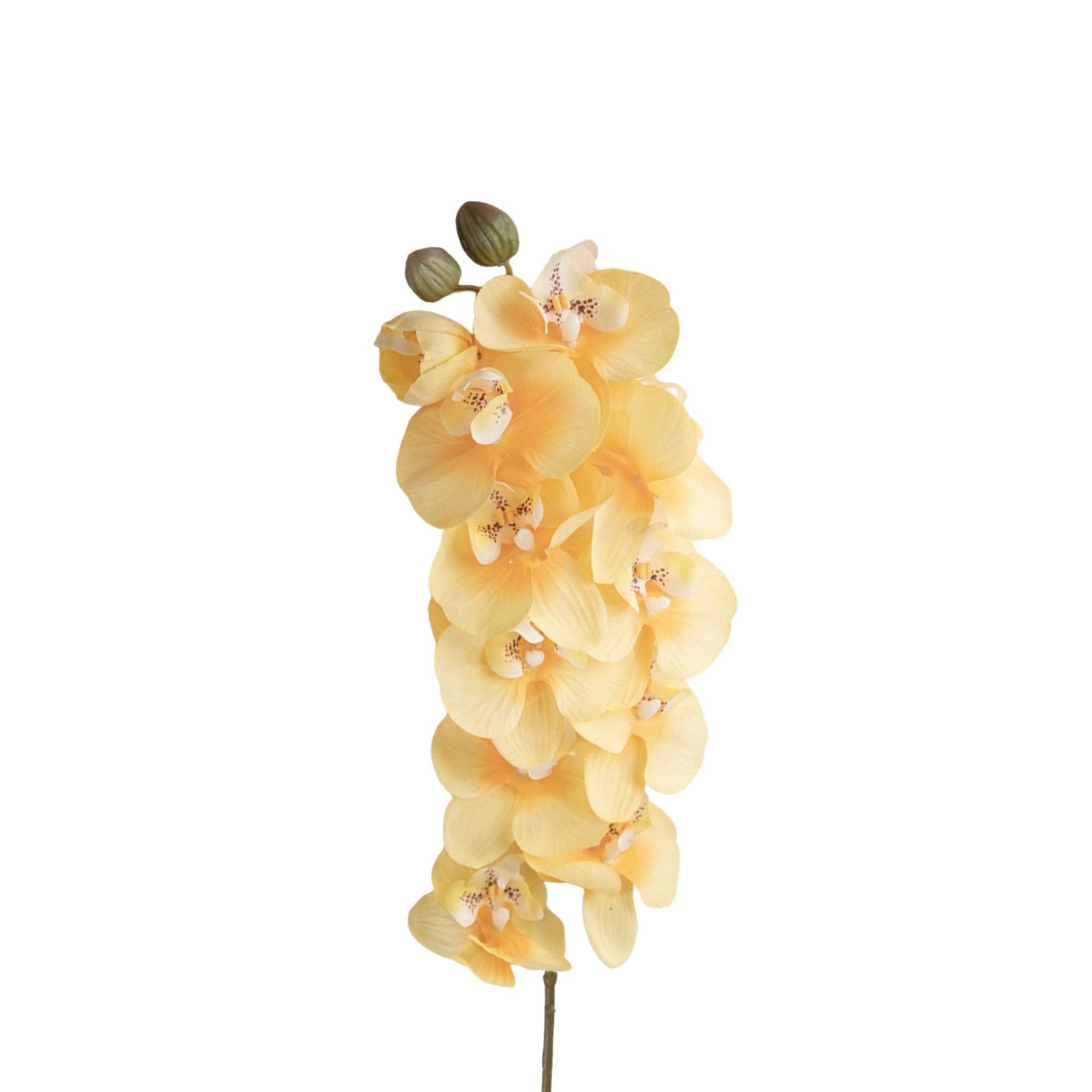 Sun Decorer - Wholesale Artificial flowers - Set of 2 Artificial Phalaenopsis Orchid Stems, 28 inches1