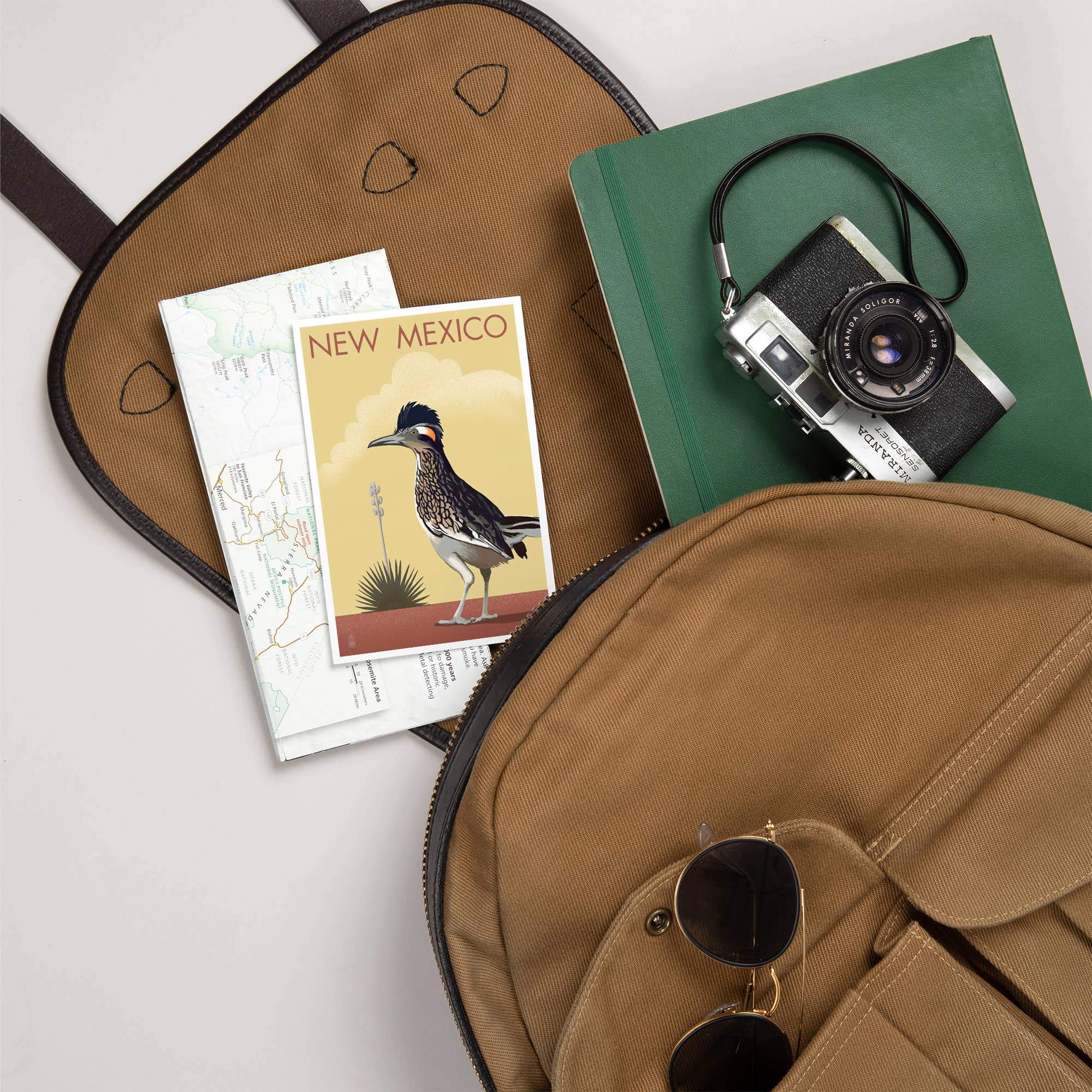 Lantern Press - Wholesale Postcard - PREMIUM POSTCARDS New Mexico, Roadrunner, Lithograph5