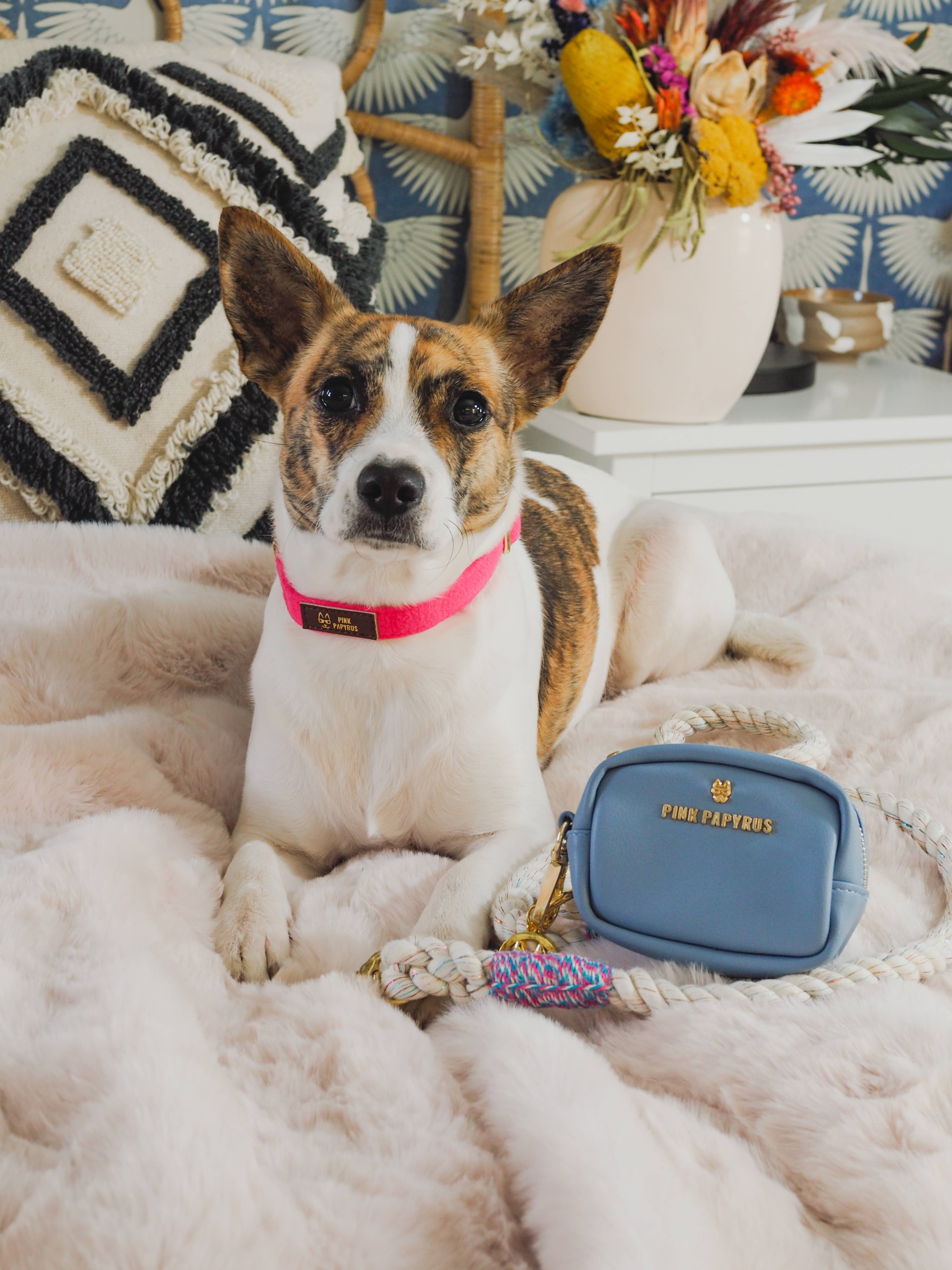 Pink Papyrus | Premium, Durable, & Stylish Dog Products – wholesale Pet poo bag dispenser – Blake Blue Vegan Leather Poop Bag Dispenser And Treat Pouch4