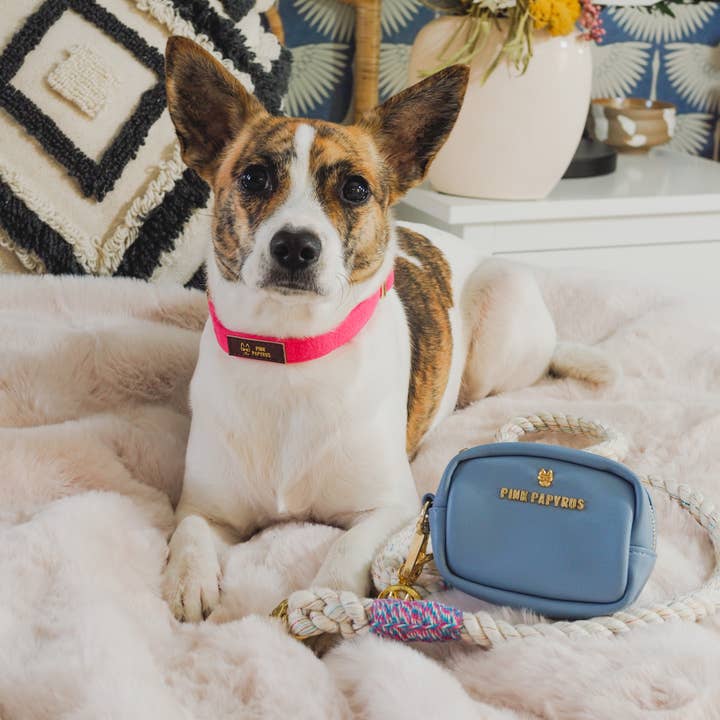Pink Papyrus | Premium, Durable, & Stylish Dog Products – wholesale Pet poo bag dispenser – Blake Blue Vegan Leather Poop Bag Dispenser And Treat Pouch4