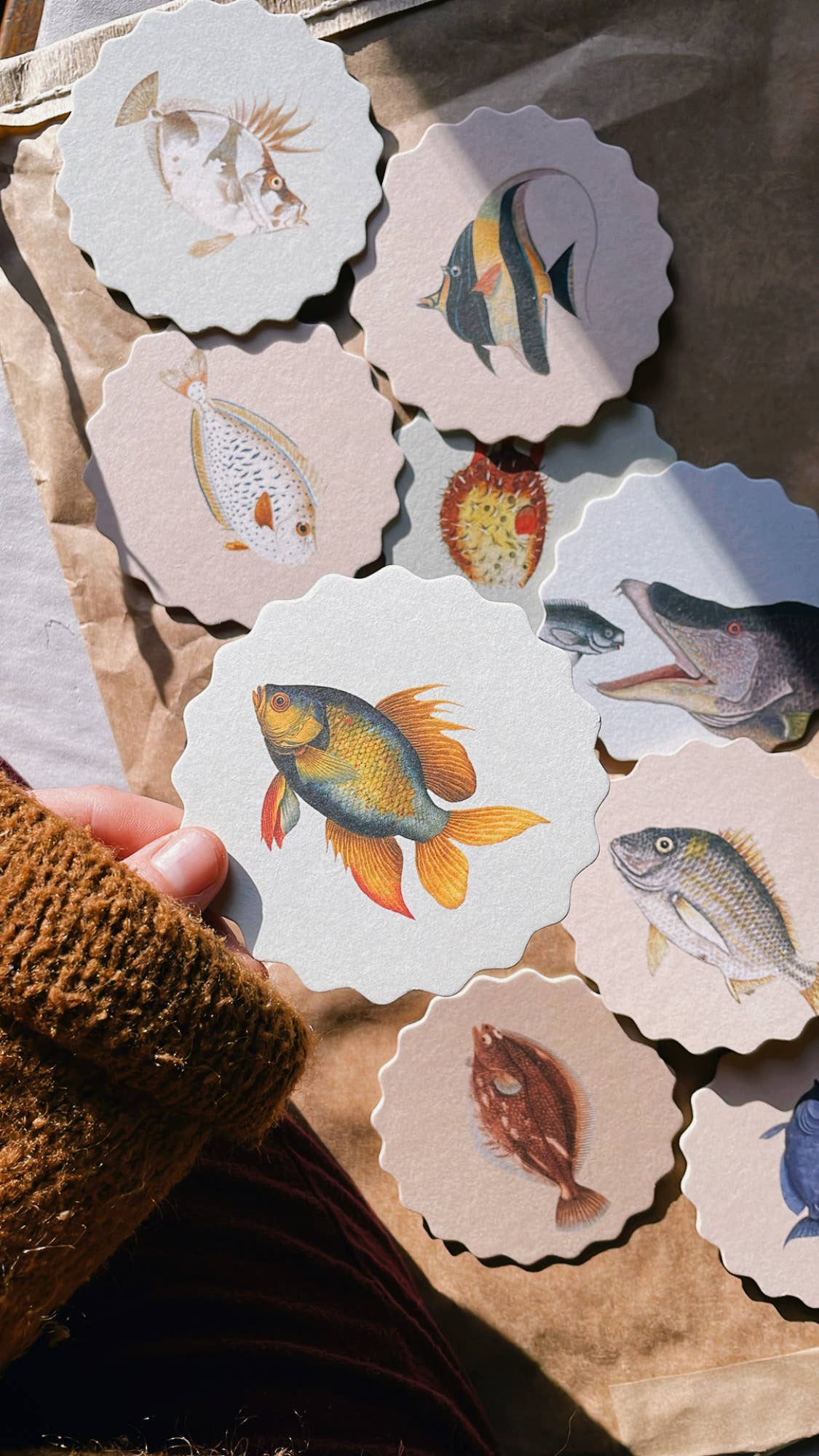 30x40 - Wholesale Coasters - Coaster Set Fish 🐠🐟🐡 3