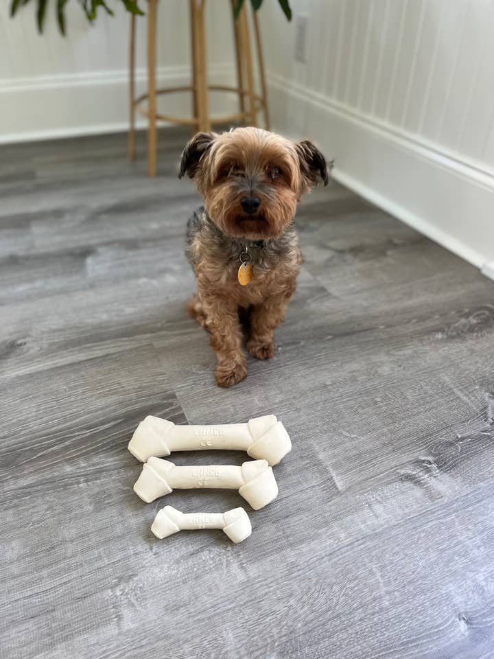 NEW Squeaky Bone Collection (XS, M, and L) Tagless for wholesale by Lanco-Toys