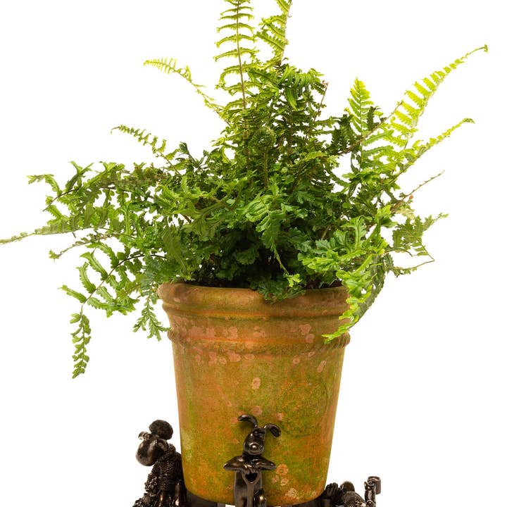 Jardinopia US - Wholesale Plant Pot - Wallace and Gromit Plant Pot Feet - Wallace, Grommit and Shaun the Sheep