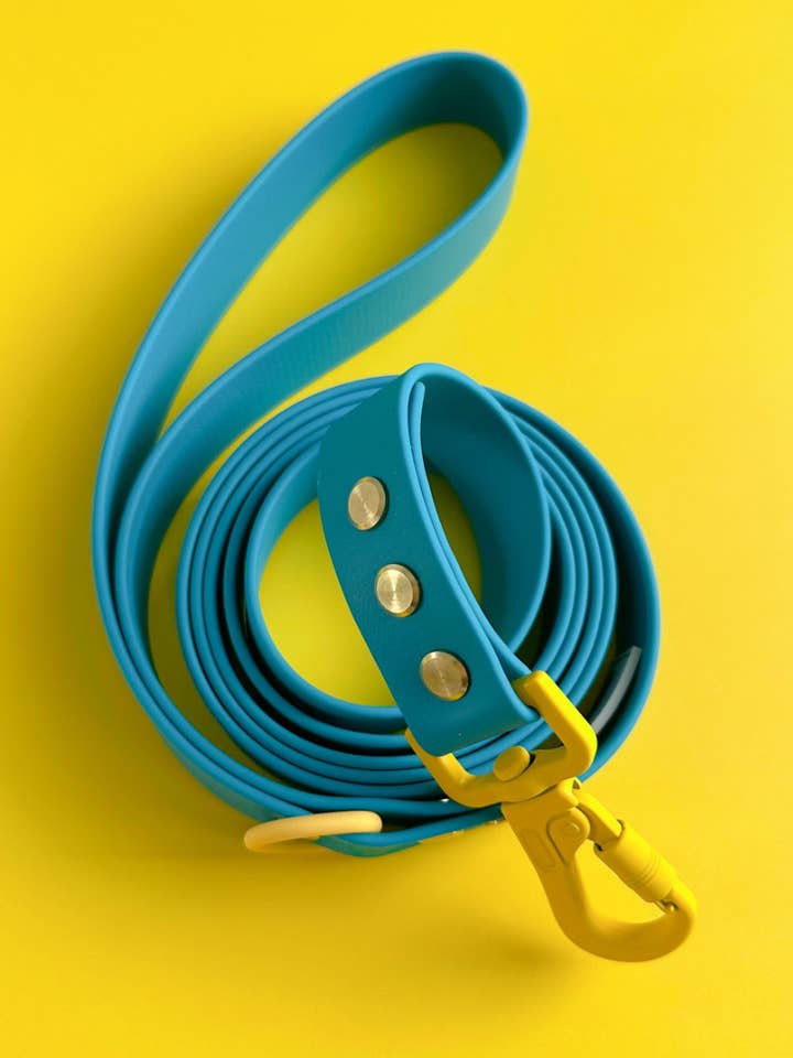 WATERPROOF DOG LEASH - ROVER SPLASH - SUNNY SWELLS for wholesale by Hund & Shore