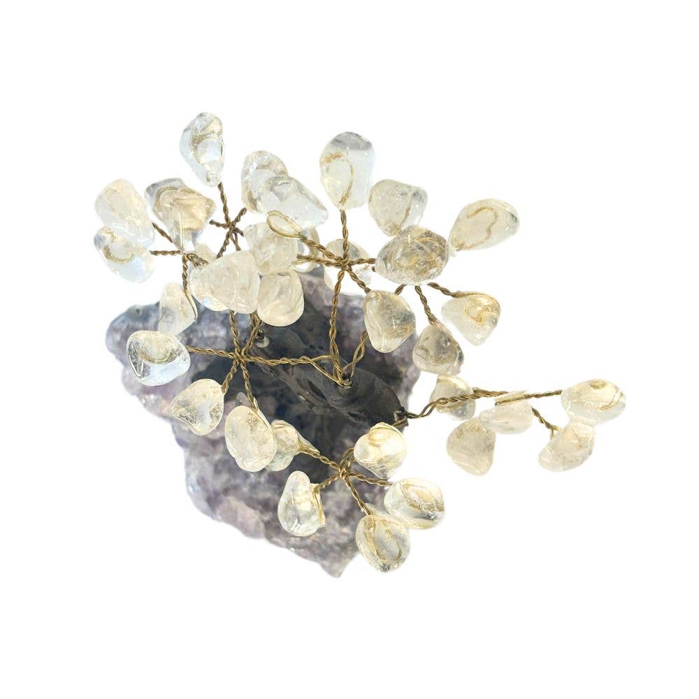 Earths Elements Wholesale - Wholesale Spiritual Stone/Crystal - Feng Shui Money Tree - Clear Quartz1