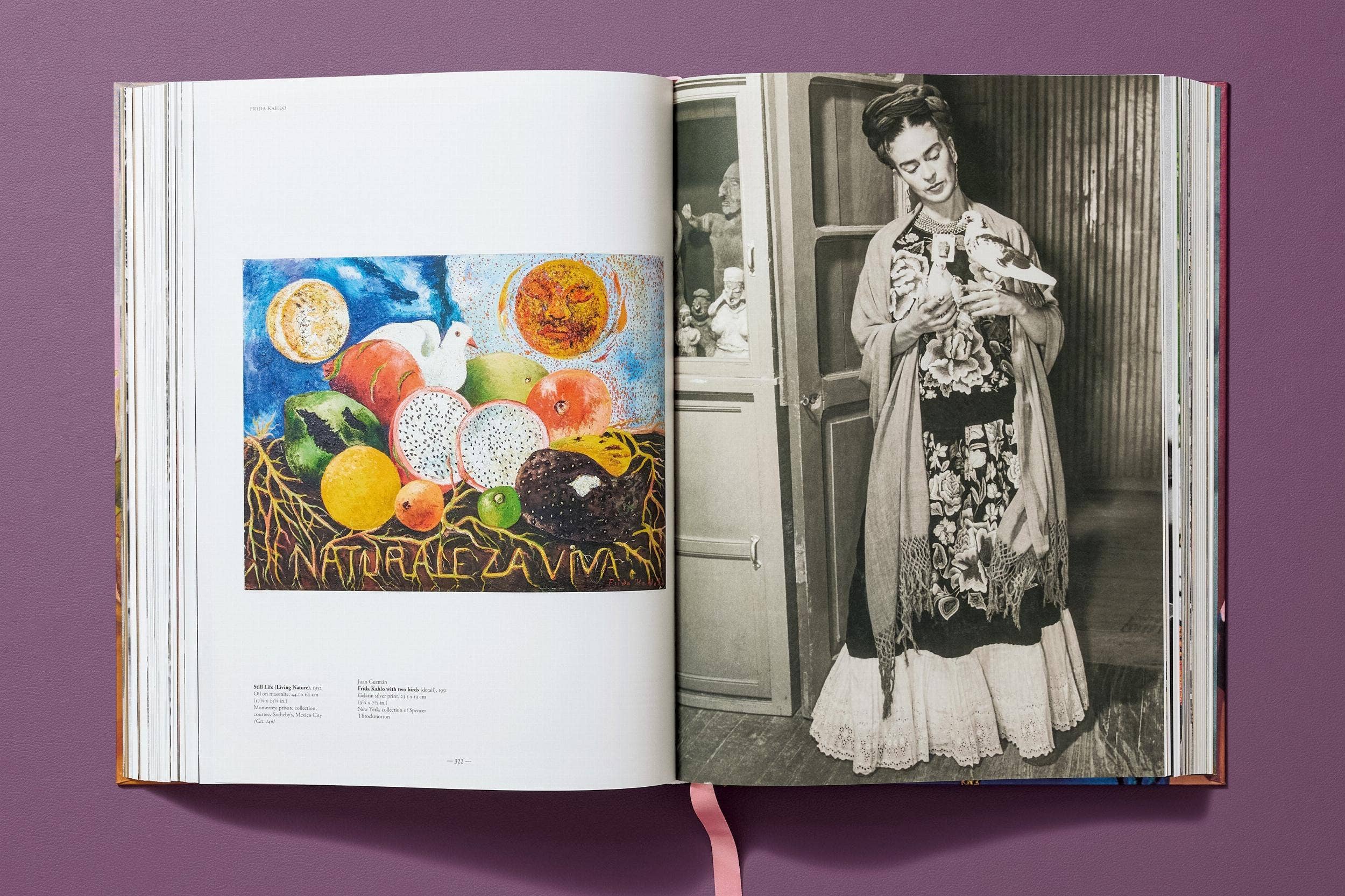TASCHEN Europe - Wholesale Arts & Entertainment Book - Frida Kahlo. The Complete Paintings (English)16