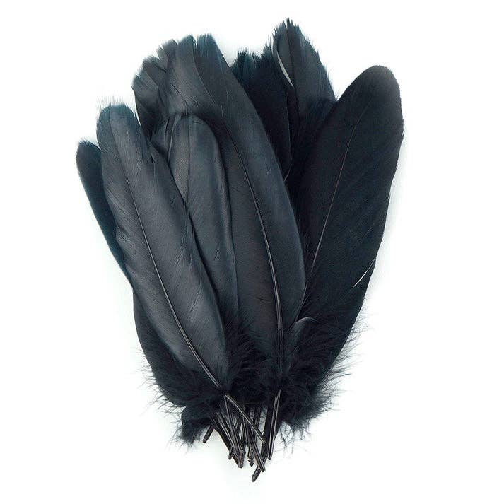 Zucker Feather Products - Wholesale Feathers - Bulk Goose Pallet Feathers 6-8 nch - 1/4 LB - Black4