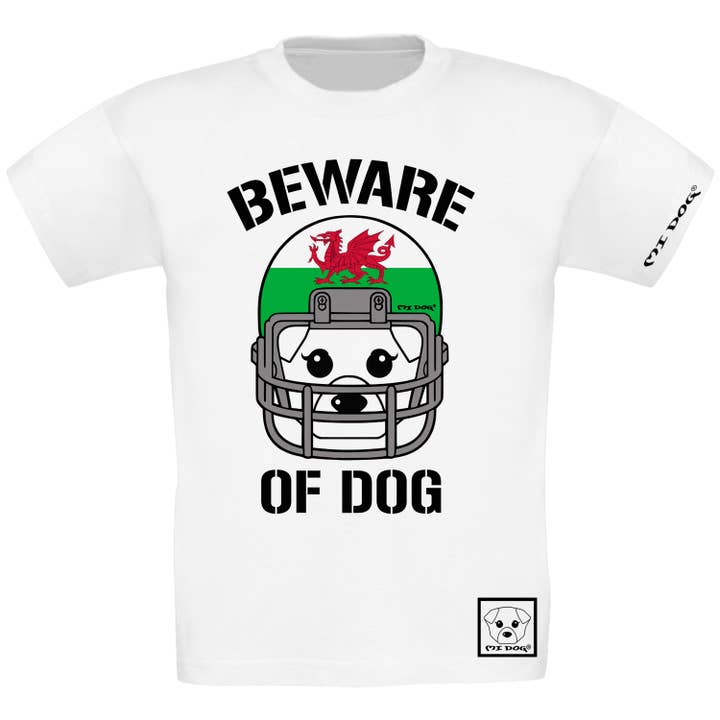 Jongens, American Football Helm, Wales voor wholesale door MI DOG