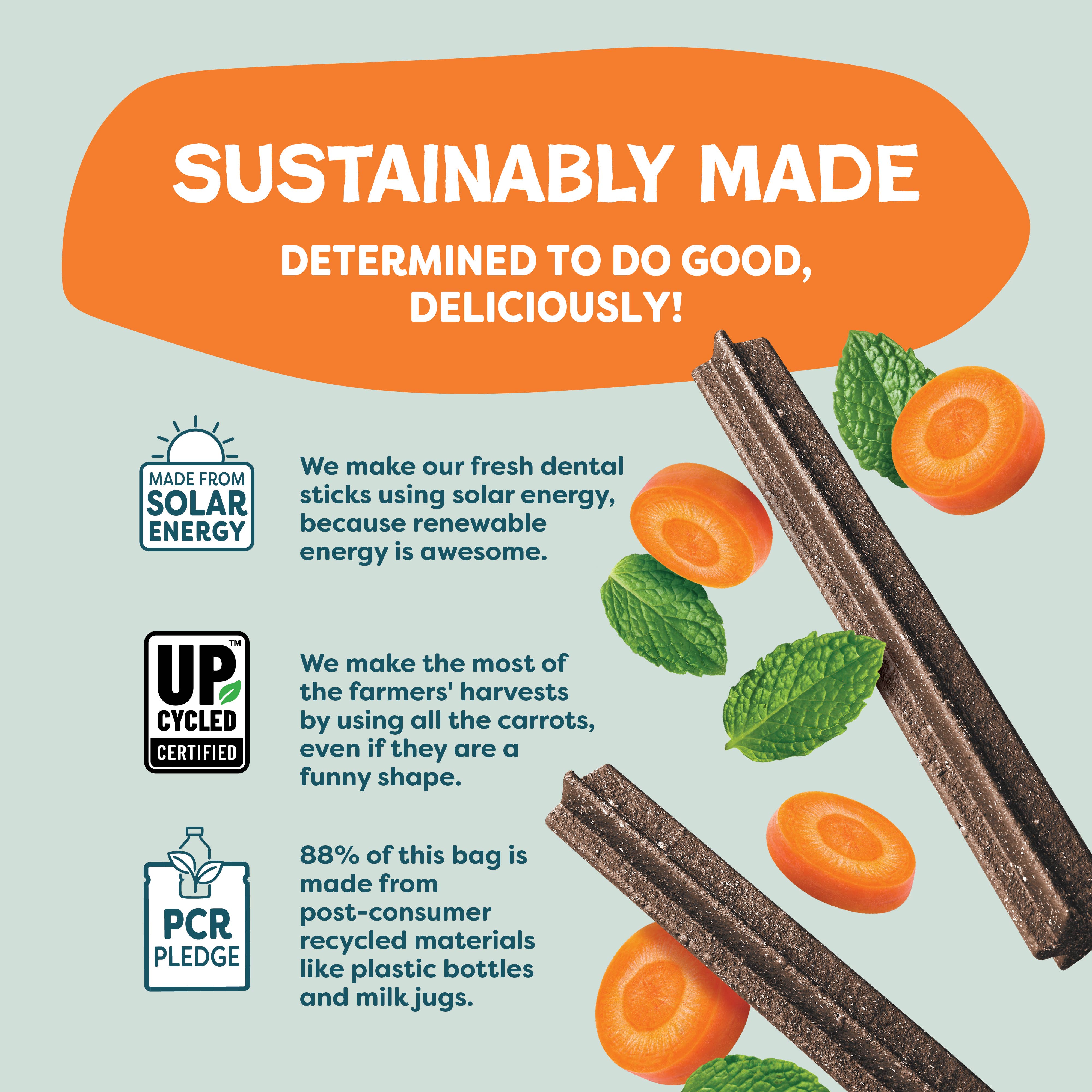 Shameless Pets - Wholesale Pet Treats - Dog - Carrate Chomp Dental Sticks Dog Treats4