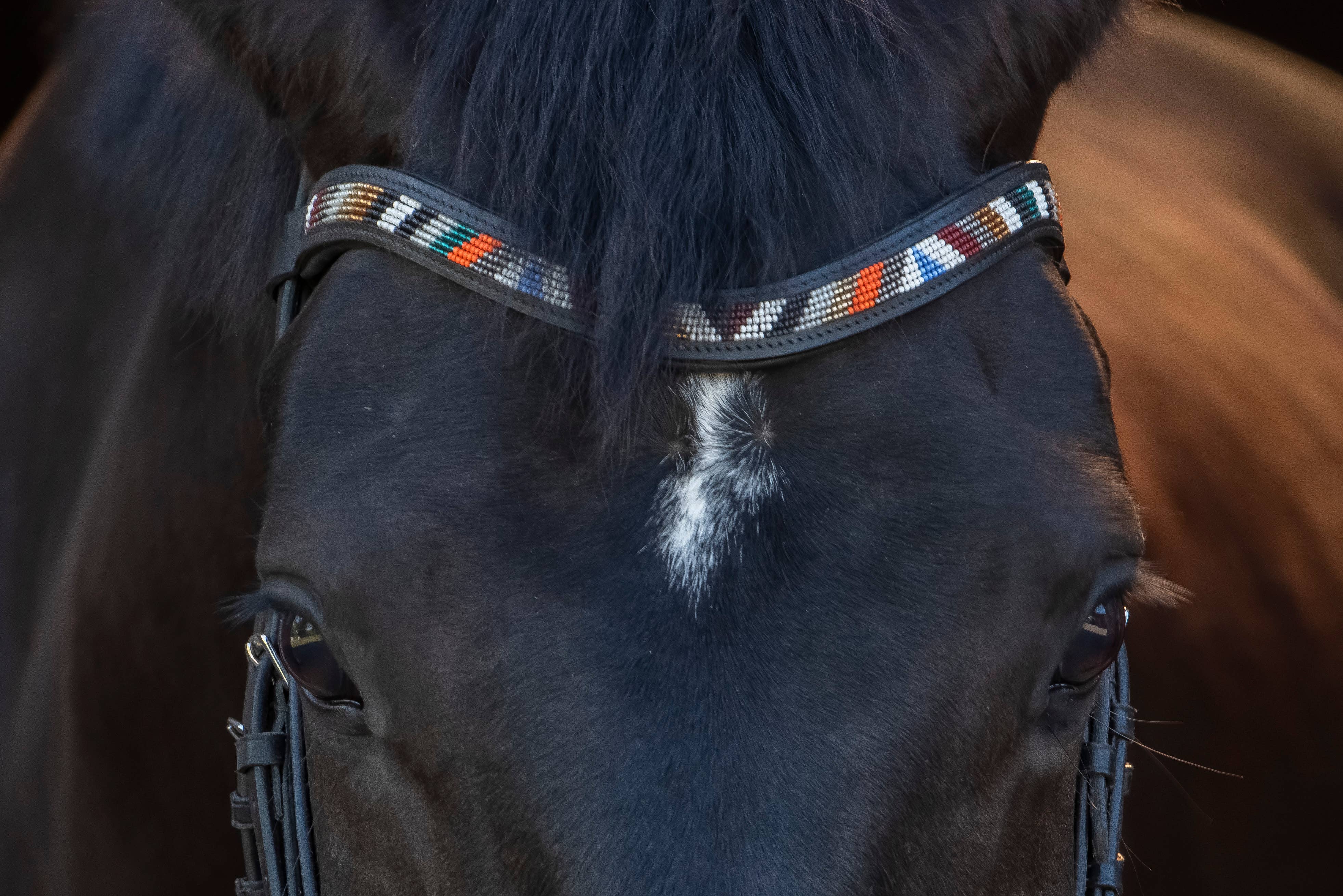 kay-line - Wholesale Pet Collar - Dog - Leather HORSE Browband IHLATHI EART4