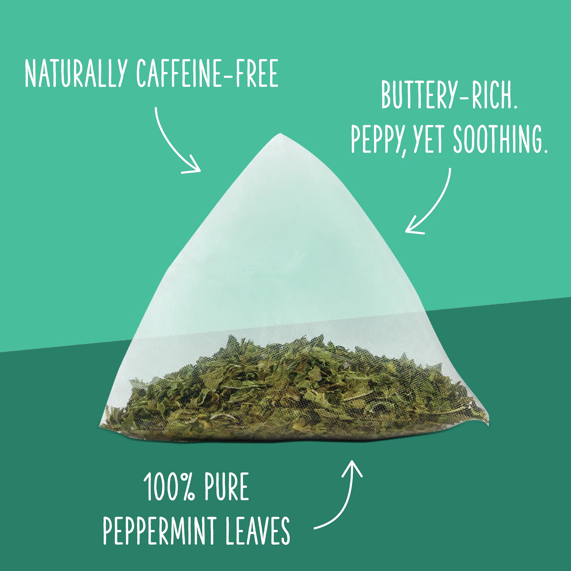 Two Leaves and a Bud - Wholesale Tea Bags - Organic Peppermint Herbal Tea2