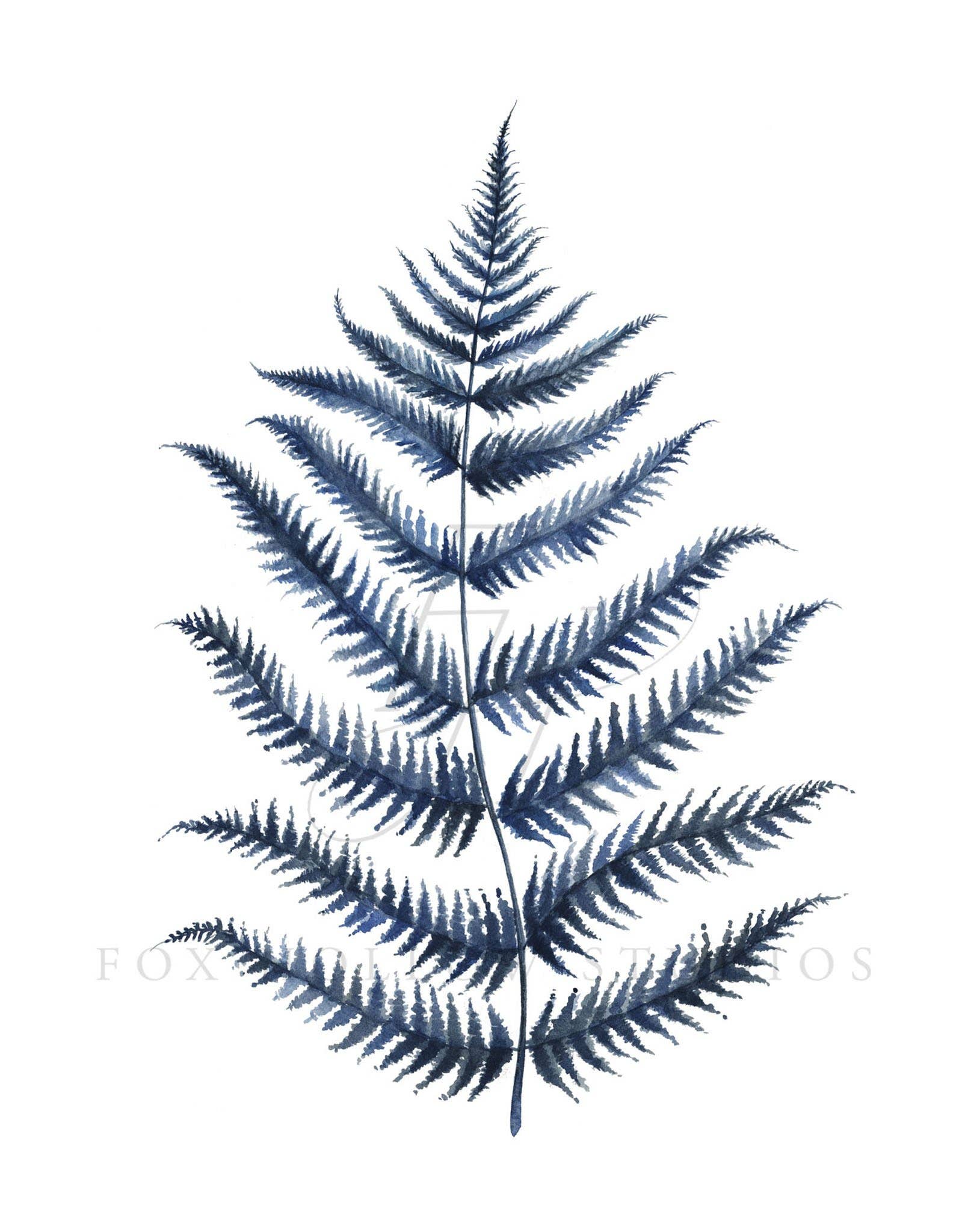 Tabitha Paige - Wholesale Gallery Wall Set - Blue Ferns Art Print Set3