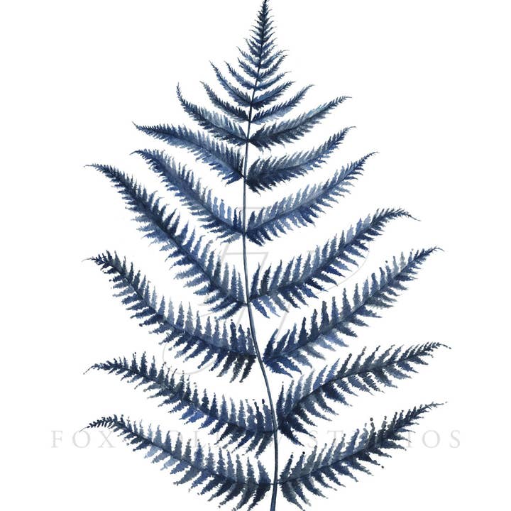 Tabitha Paige - Wholesale Gallery Wall Set - Blue Ferns Art Print Set3