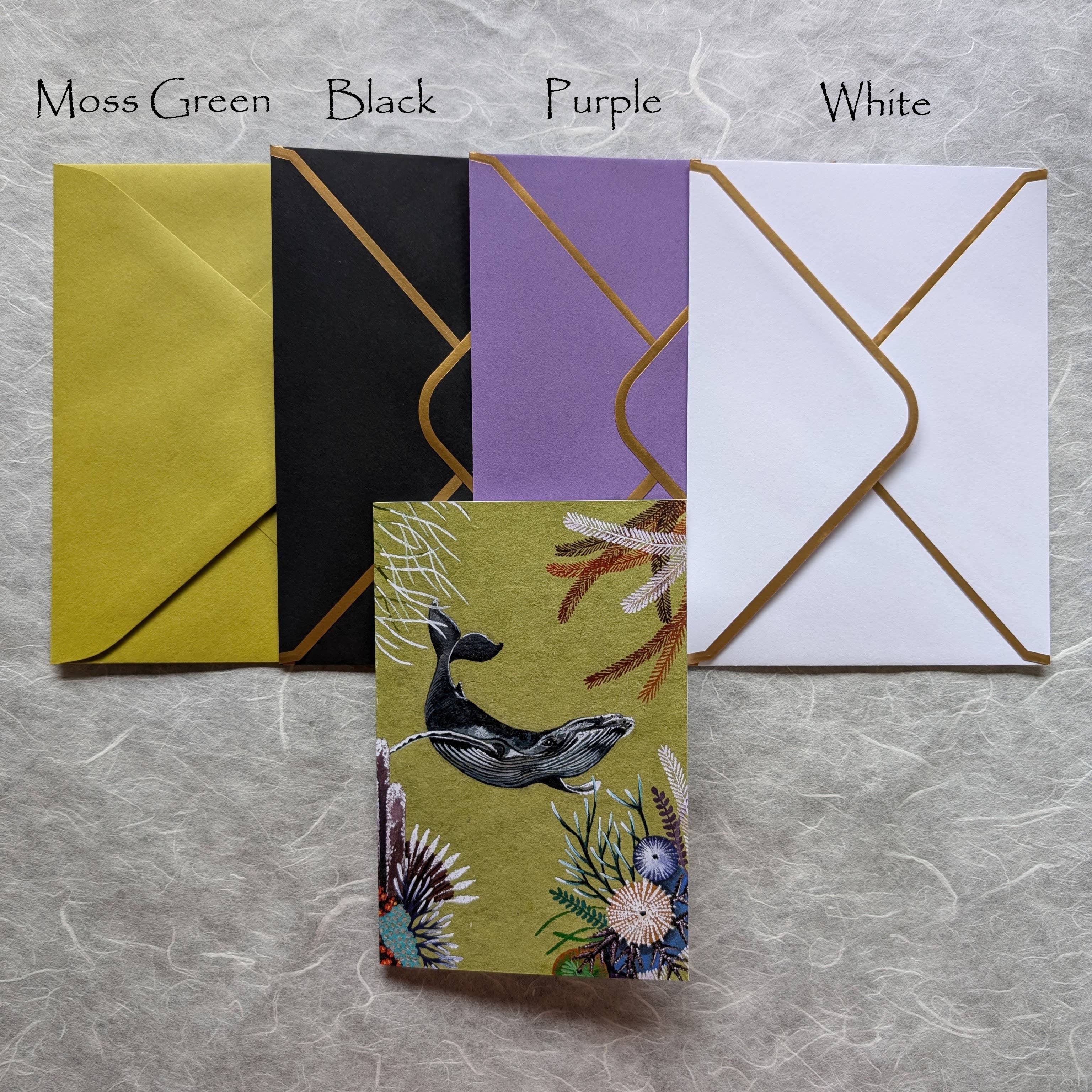 Mantis Shrimp Monocles - Wholesale Everyday Greeting Card - Humpback Whale Greeting Card1