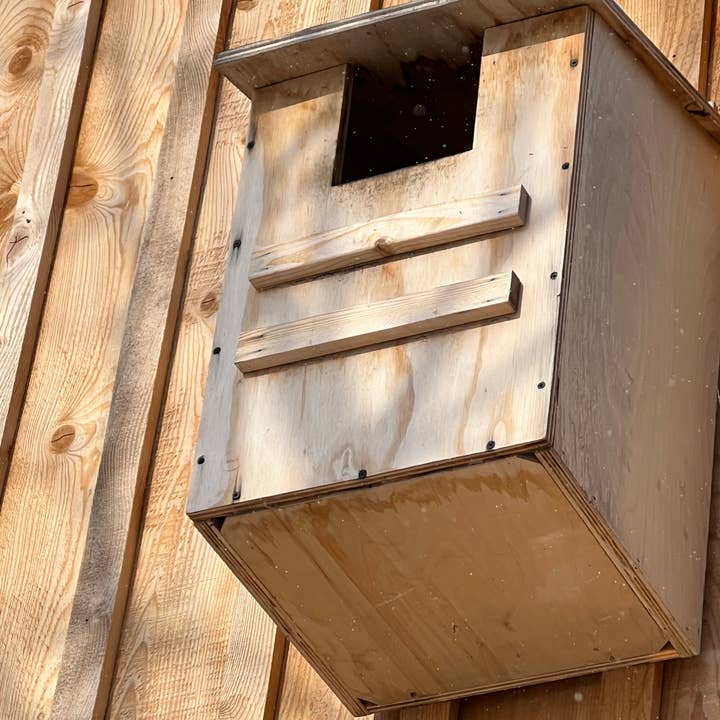 Opalulu - Wholesale Bird House - Bird Houses
