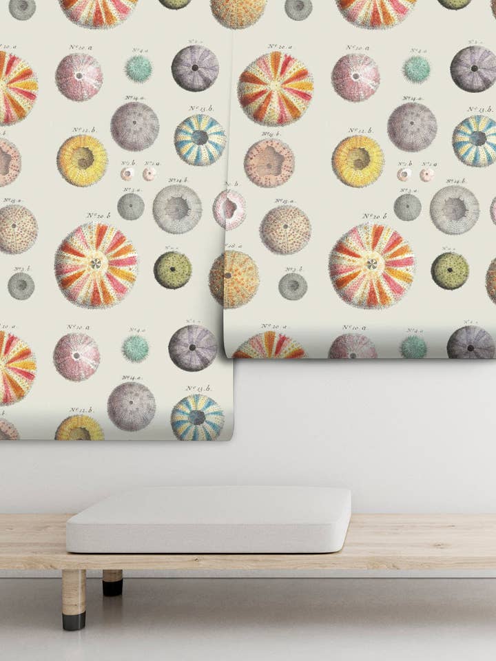 Hedgehogs for wholesale by PIPAPEL