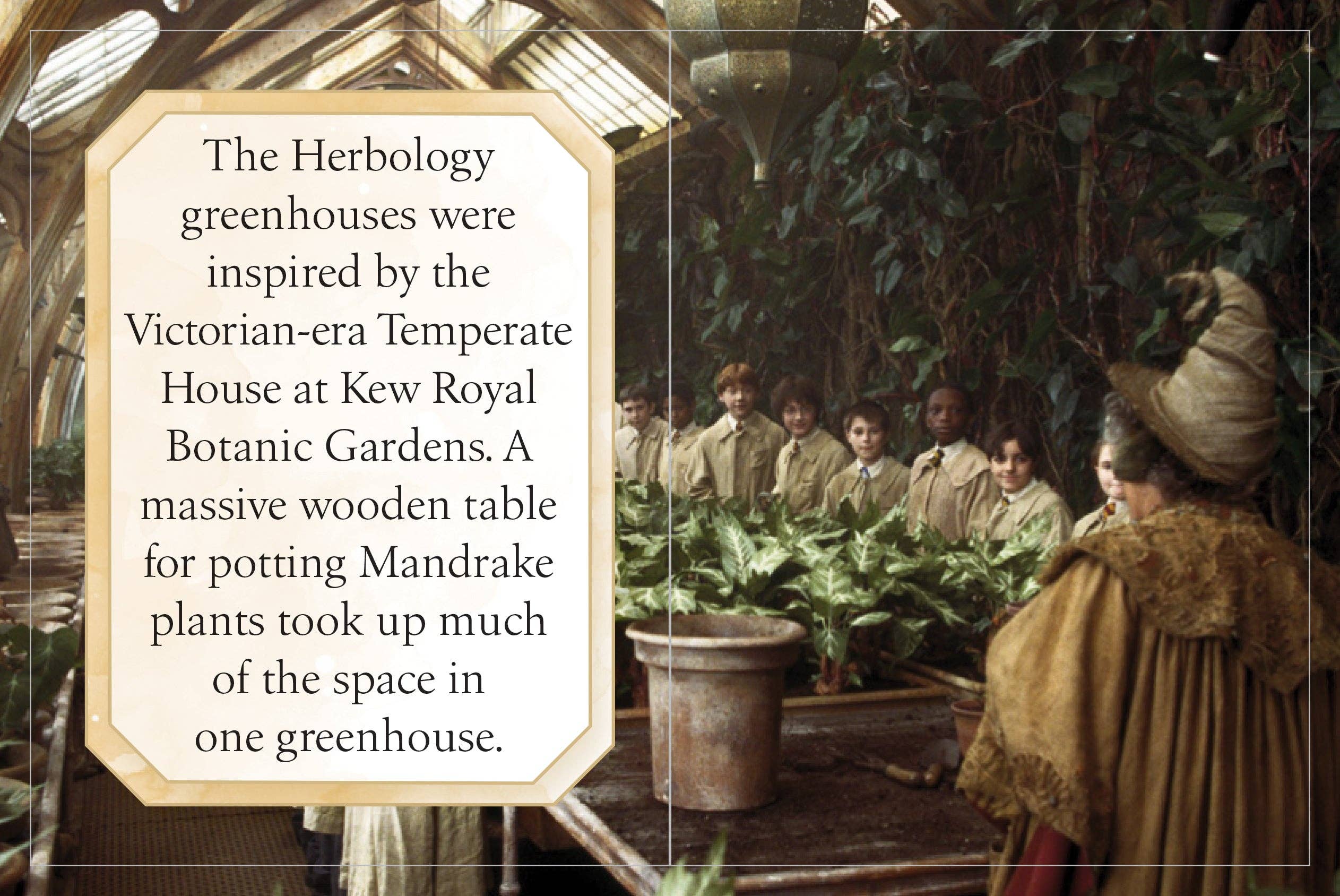 Insight Editions - #1 Pop Culture Publisher - Wholesale Middle Grade Book (9-12) - Harry Potter:Hogwarts School of Witchcraft & Wizardry (Tiny)4