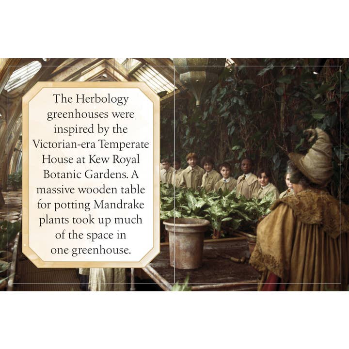 Insight Editions - #1 Pop Culture Publisher - Wholesale Middle Grade Book (9-12) - Harry Potter:Hogwarts School of Witchcraft & Wizardry (Tiny)4