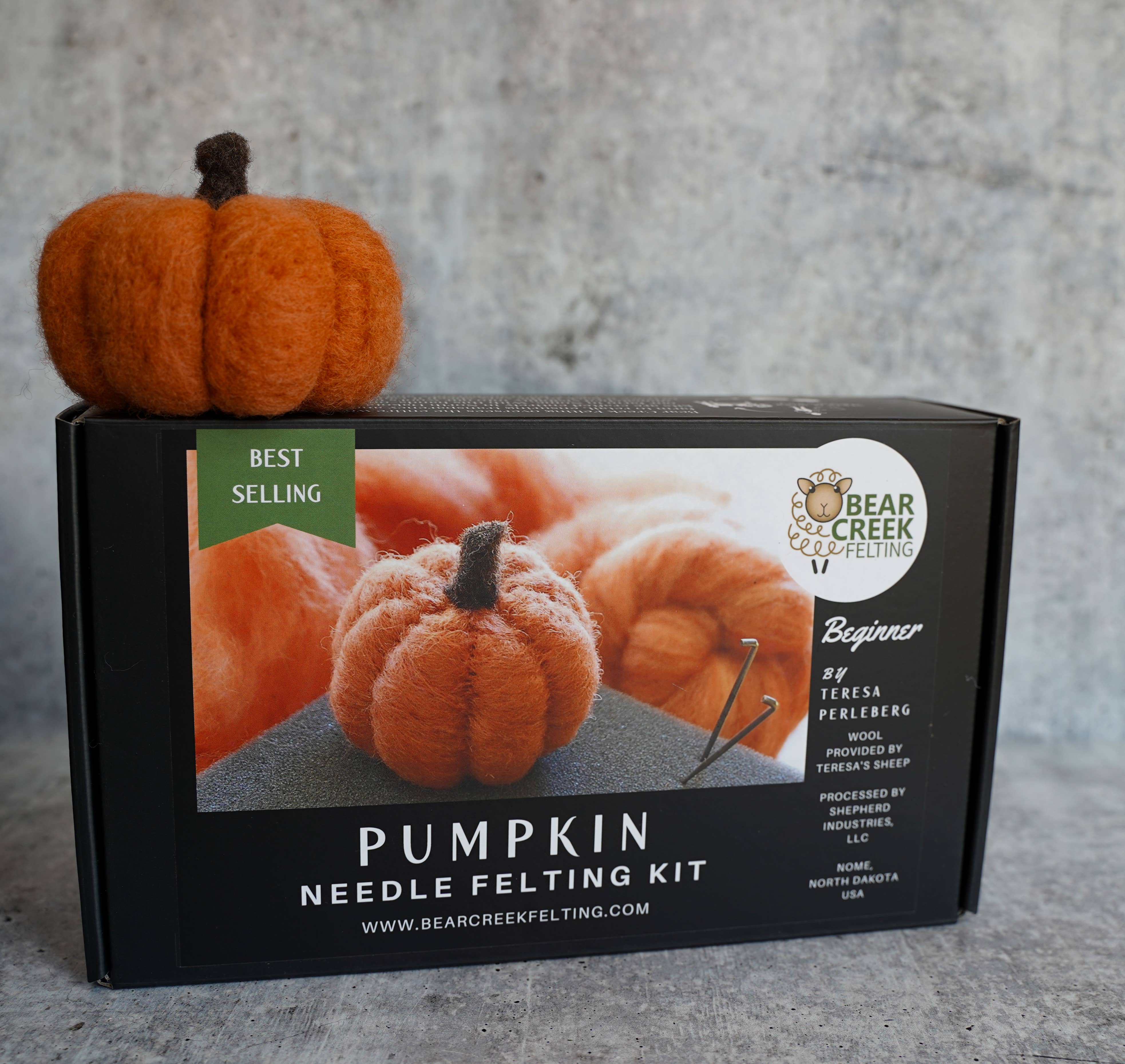 Bear Creek Felting - Vente Kit de bricolage - Kit débutant de feutrage à l'aiguille citrouille11