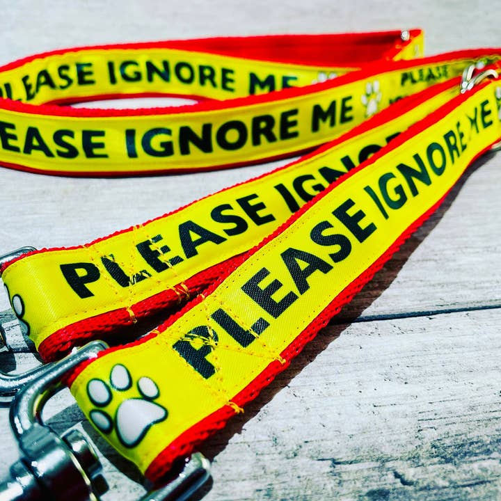 Guinzaglio Please Ignore, cane da supporto, da tenere lontano reattivo per la vendita all'ingrosso da parte di Dottie's Pet Boutique