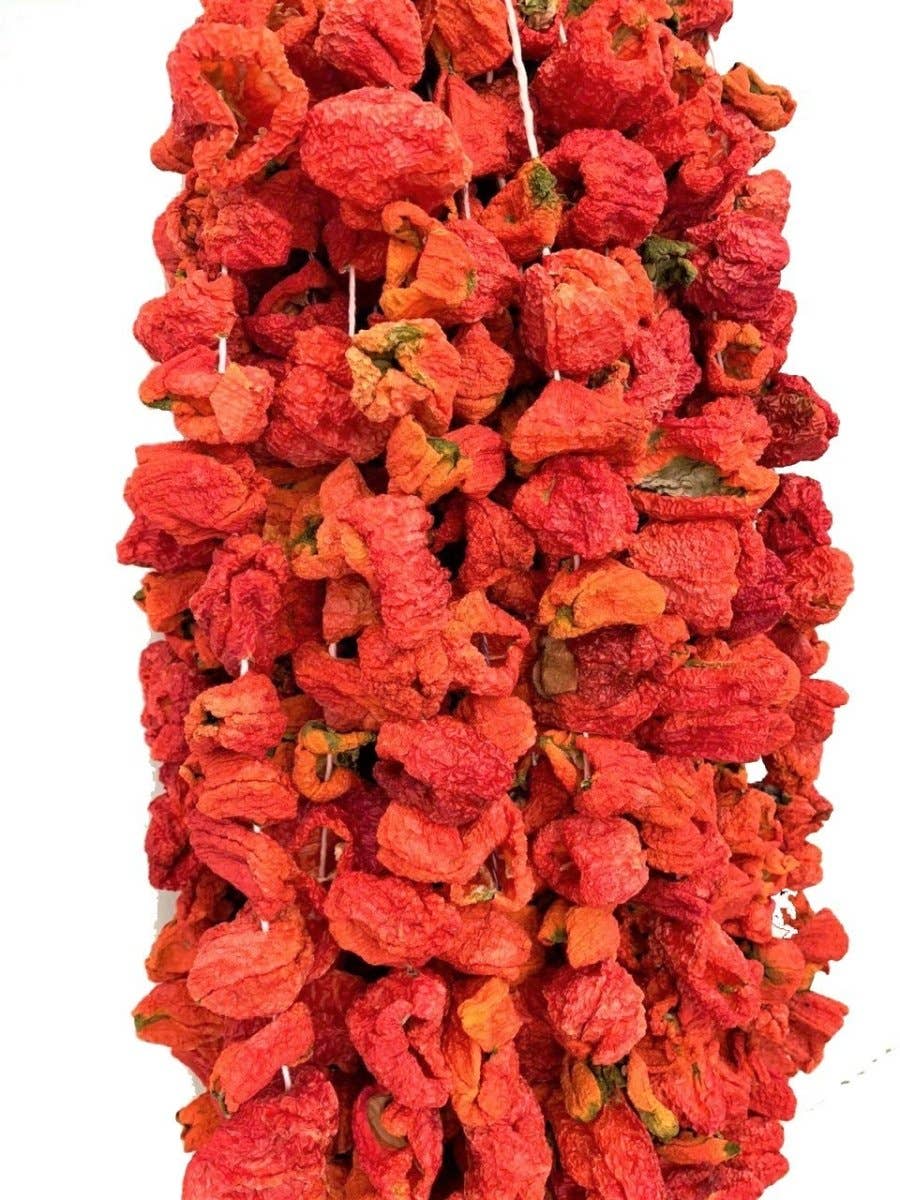 Aladdin - Vendita all'ingrosso Spezie essiccate - Bulgurlu | Peperone Secco - Piccante (Dolmalik Kuru Aci Biber)3