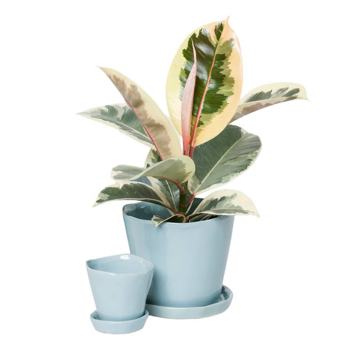 Chive - Wholesale Plant Pot - Tika Ceramic Pots With Saucer And Drainage Hole - 3"13