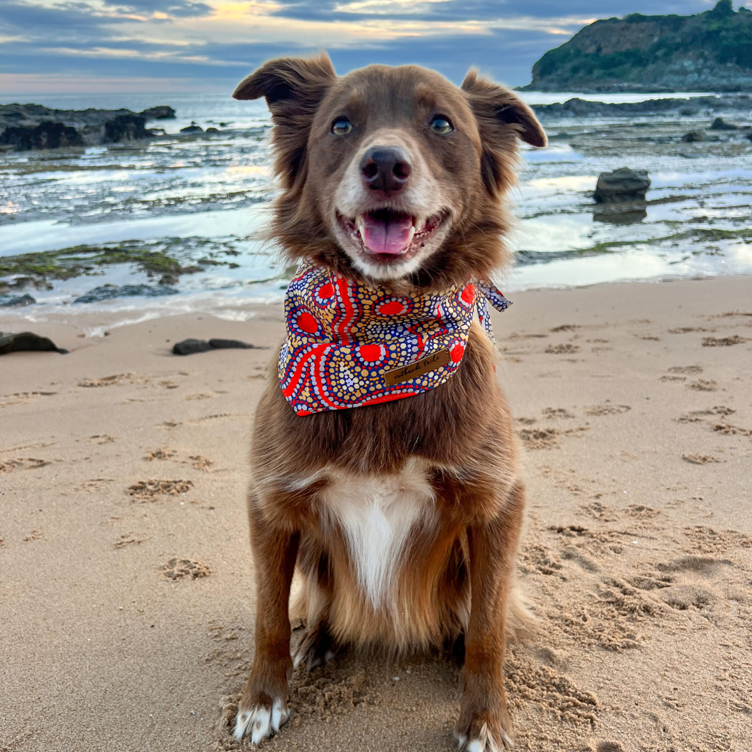 Outback Tails – Engroshandel Bandana - Hund – Hundebandana - Snake Dreaming1