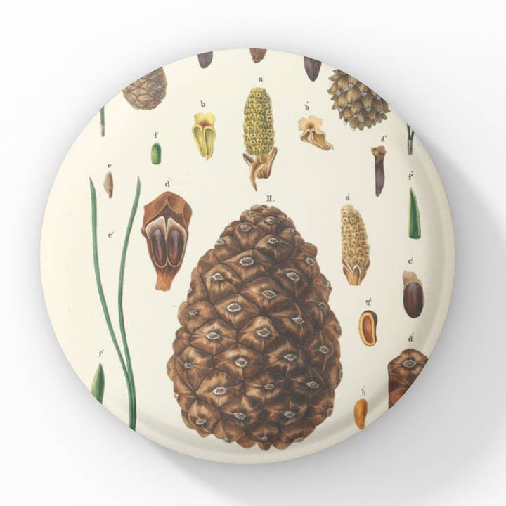 Pin de piña, Llavero de piña, Imán de piña para venta al por mayor de NatureCuts