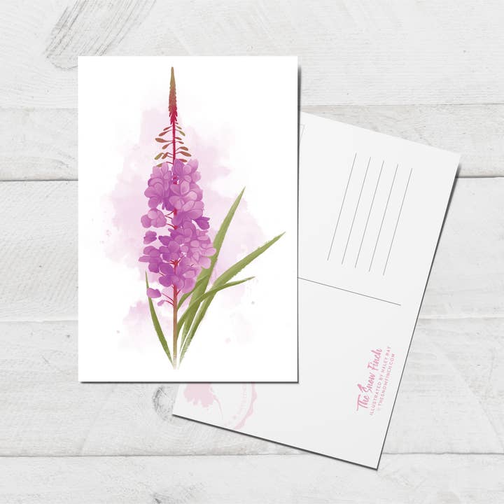 Postkarte aus Weidenröschen | 4x6 Florale botanische Alaska-Kunst für den Großhandel von The Snow Finch