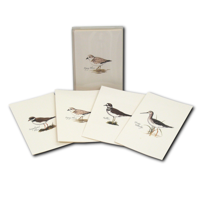 Earth Sky + Water - Wholesale Stationery/Notecard Set - Shorebird Assortment4