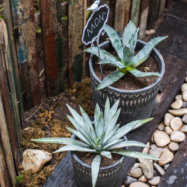 Rustic Reach - Wholesale Plant Pot - Black Pottery Cement Planter