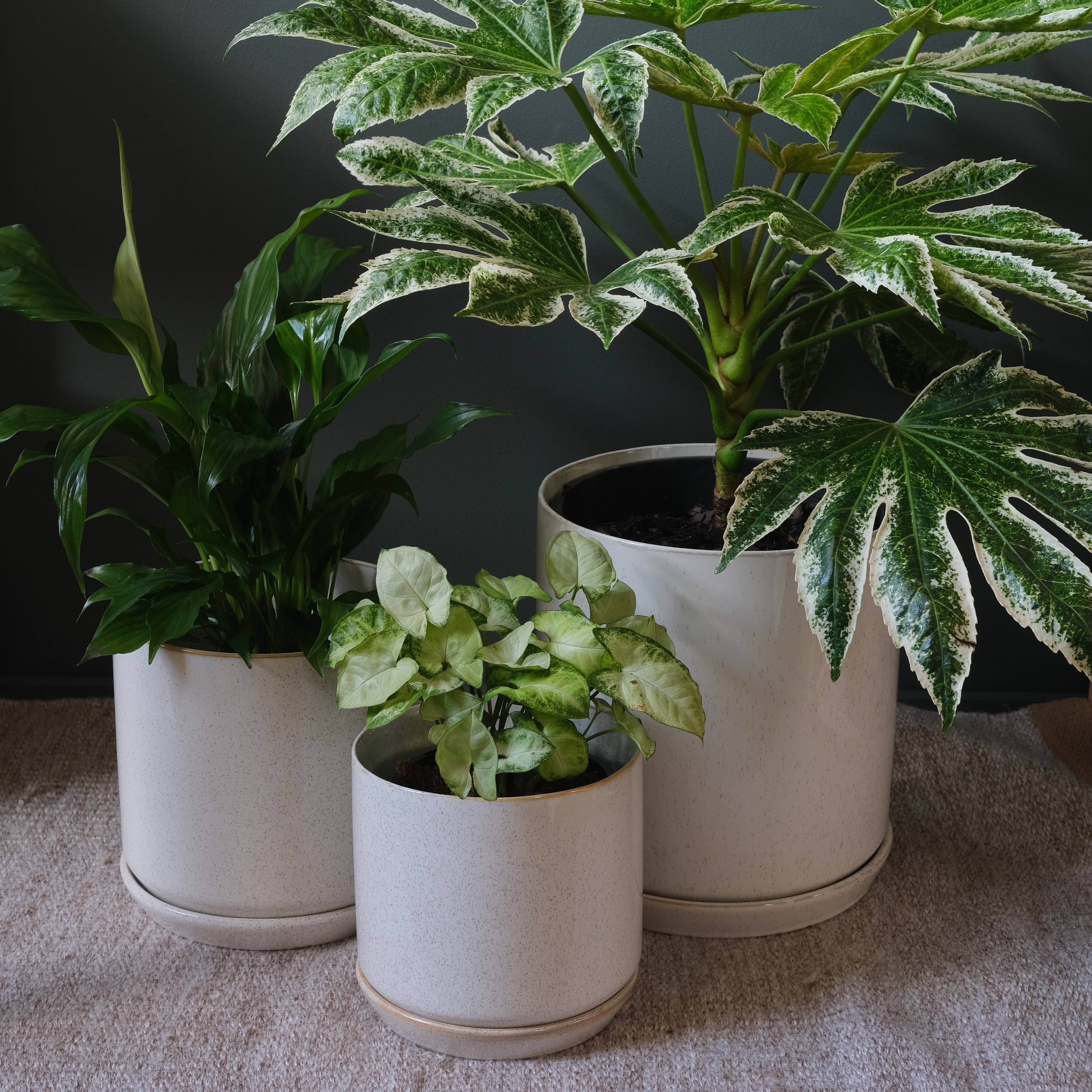 Potted - Wholesale Plant pot - Medium Oslo Planter Sandstorm3